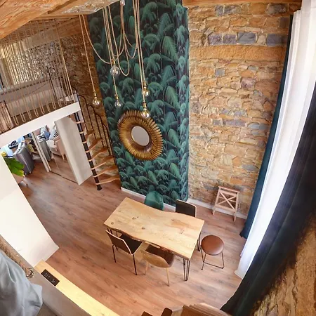 Apartamento La Casa Jungle - - Centre, Pentes De La Croix Rousse Lyon